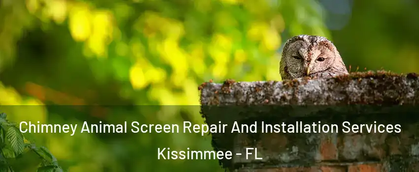  Chimney Animal Screen Repair And Installation Services Kissimmee - FL