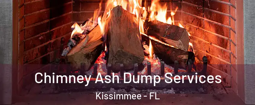  Chimney Ash Dump Services Kissimmee - FL