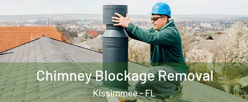  Chimney Blockage Removal Kissimmee - FL