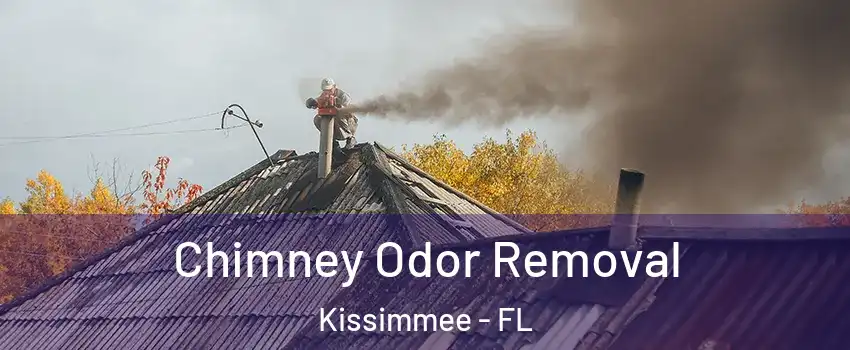  Chimney Odor Removal Kissimmee - FL
