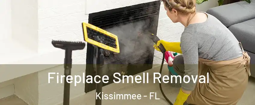  Fireplace Smell Removal Kissimmee - FL