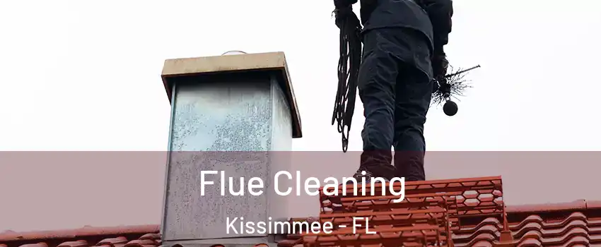  Flue Cleaning Kissimmee - FL