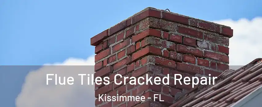  Flue Tiles Cracked Repair Kissimmee - FL