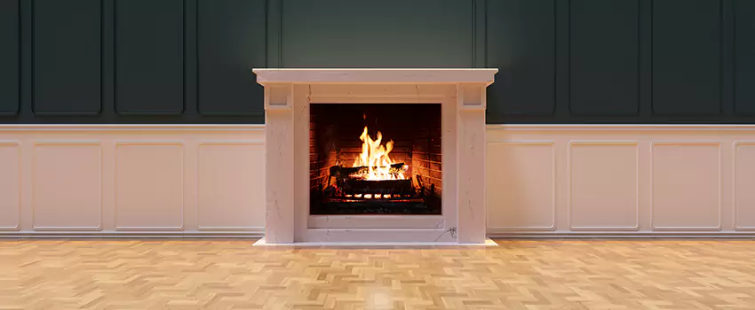 Napoleon Electric Fireplaces Inspection Service in Kissimmee, Florida