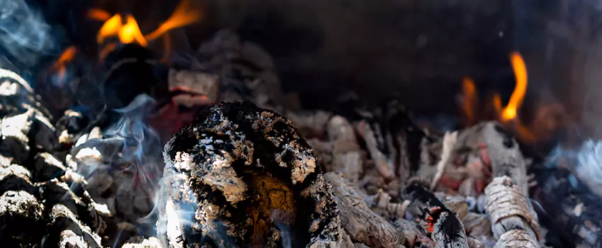 Creosote Removal Experts in Kissimmee, FL