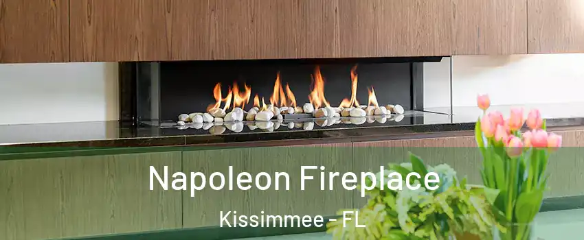  Napoleon Fireplace Kissimmee - FL