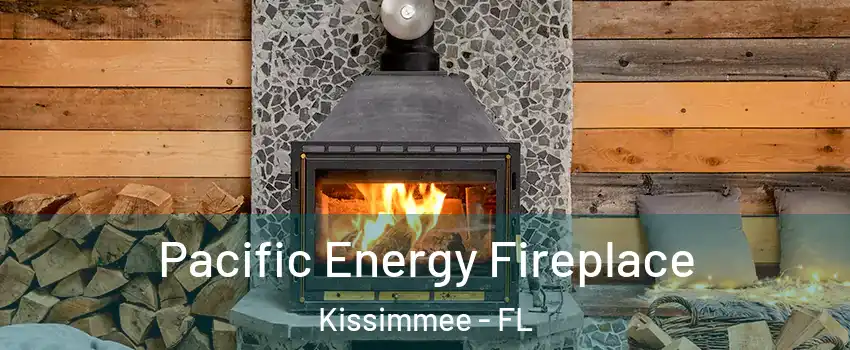 Pacific Energy Fireplace Kissimmee - FL